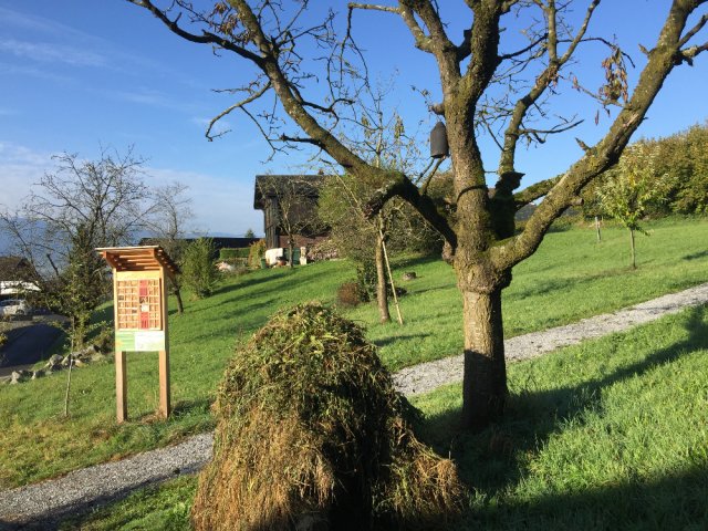 umgebung okt. 16
